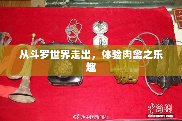 从斗罗世界走出，体验肉禽之乐趣