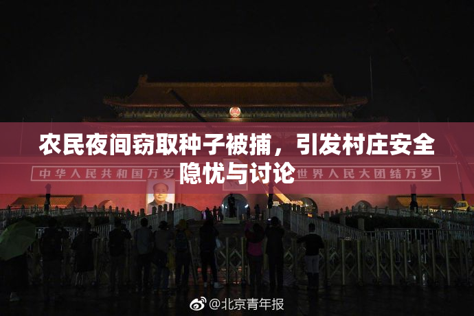 农民夜间窃取种子被捕，引发村庄安全隐忧与讨论