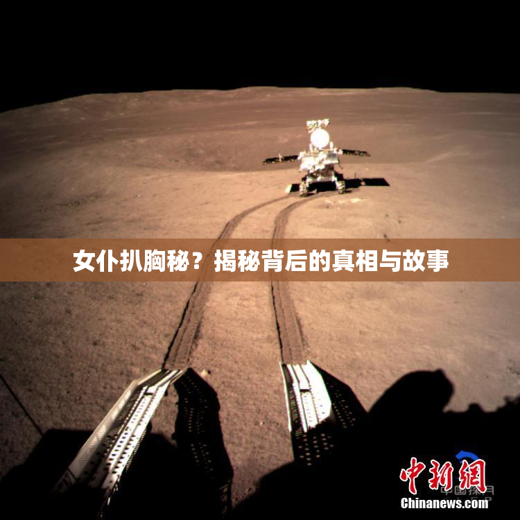 女仆扒胸秘？揭秘背后的真相与故事