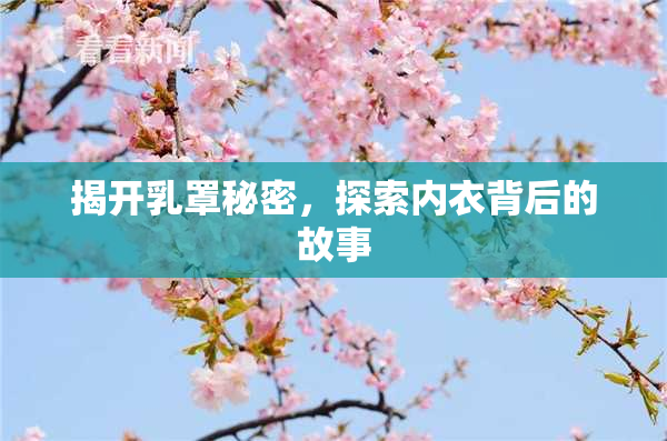 揭开乳罩秘密，探索内衣背后的故事