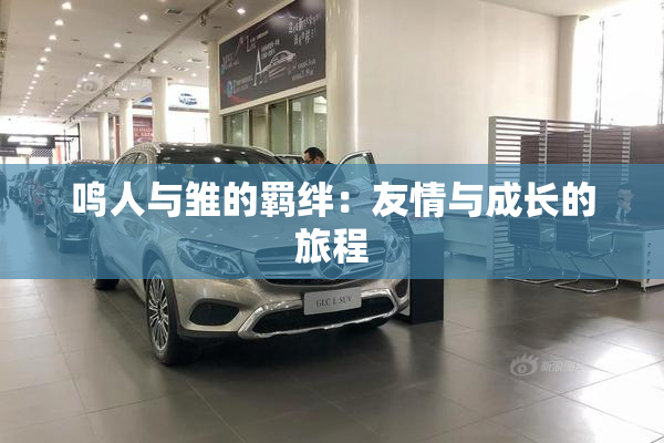 鸣人与雏的羁绊：友情与成长的旅程