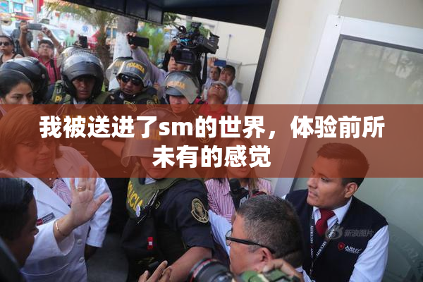 我被送进了sm的世界，体验前所未有的感觉