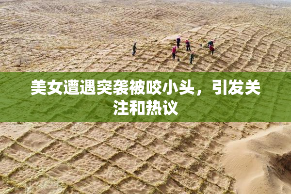 美女遭遇突袭被咬小头，引发关注和热议
