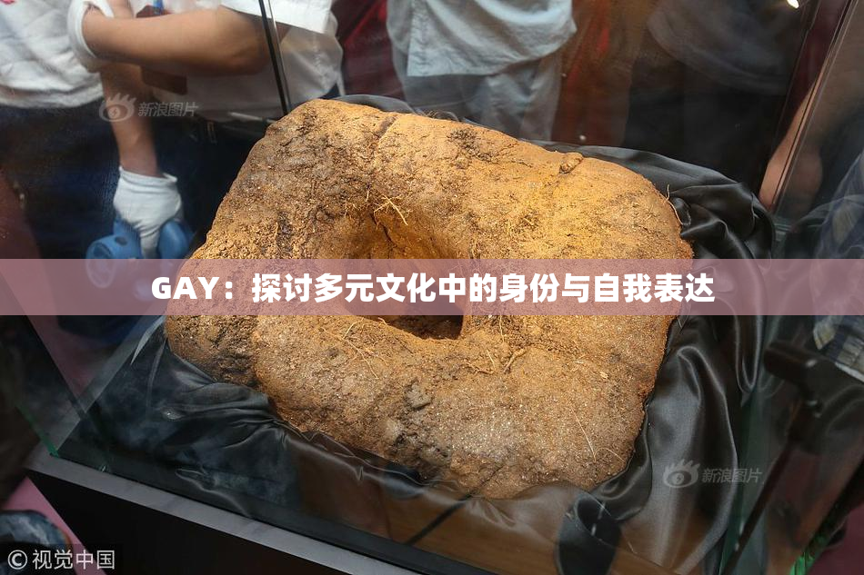 GAY：探讨多元文化中的身份与自我表达