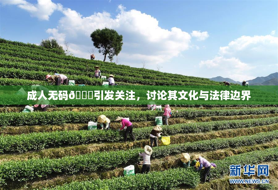 成人无码🔞引发关注，讨论其文化与法律边界