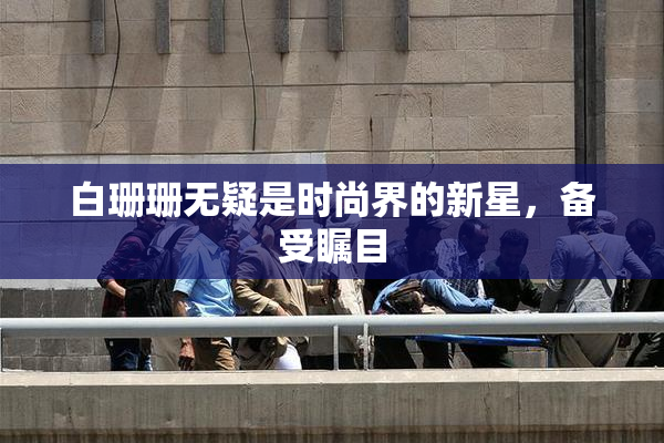 白珊珊无疑是时尚界的新星，备受瞩目