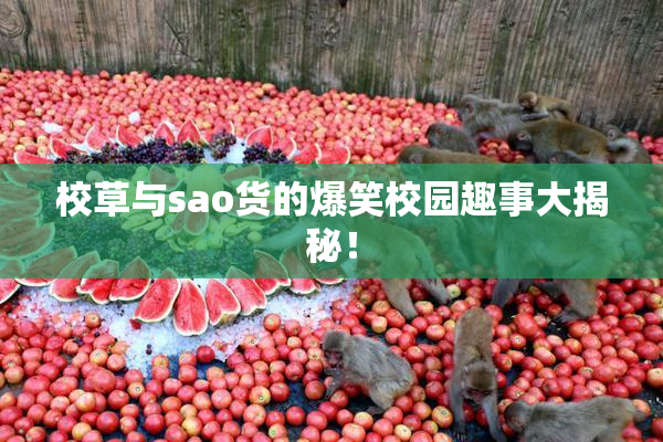 校草与sao货的爆笑校园趣事大揭秘！
