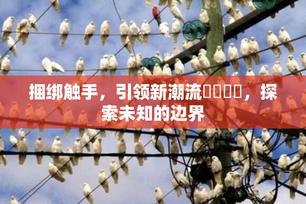 捆绑触手，引领新潮流❌‌❌‌，探索未知的边界