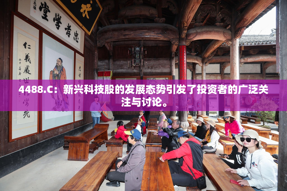4488.C：新兴科技股的发展态势引发了投资者的广泛关注与讨论。