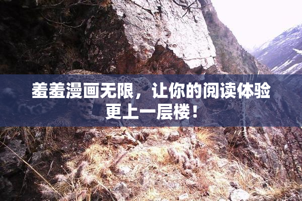 羞羞漫画无限，让你的阅读体验更上一层楼！