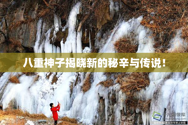 八重神子揭晓新的秘辛与传说！
