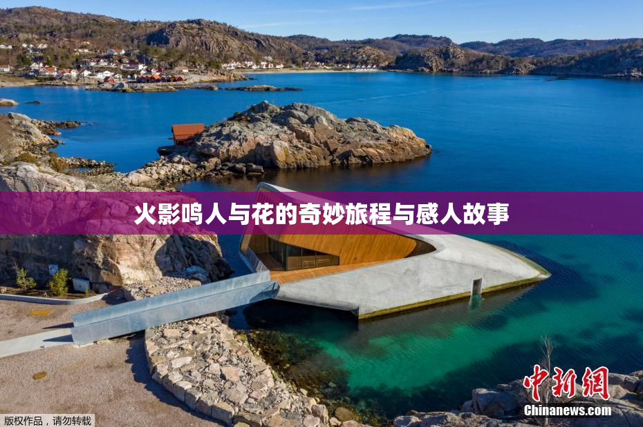火影鸣人与花的奇妙旅程与感人故事