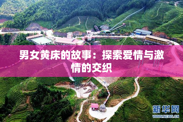 男女黄床的故事：探索爱情与激情的交织