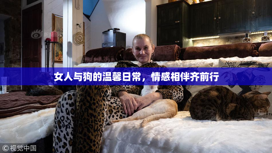 女人与狗的温馨日常，情感相伴齐前行