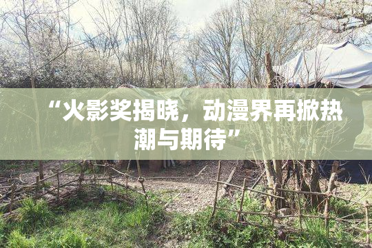 “火影奖揭晓，动漫界再掀热潮与期待”