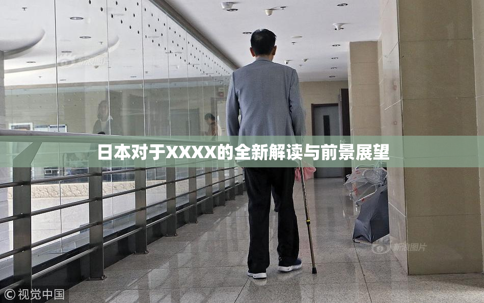 日本对于XXXX的全新解读与前景展望