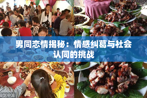 男同恋情揭秘：情感纠葛与社会认同的挑战