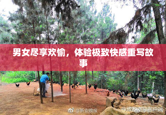 男女尽享欢愉，体验极致快感重写故事