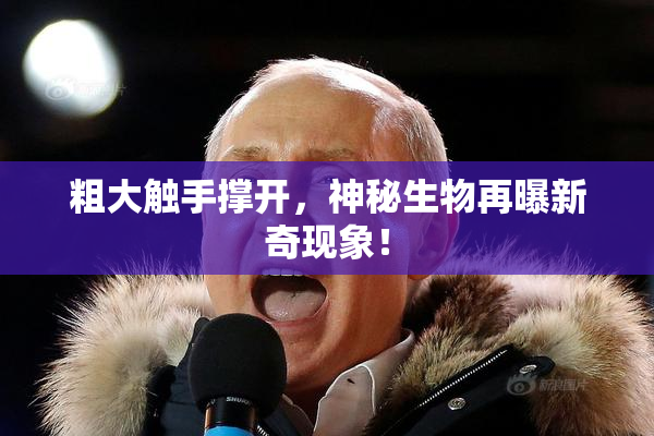 粗大触手撑开，神秘生物再曝新奇现象！
