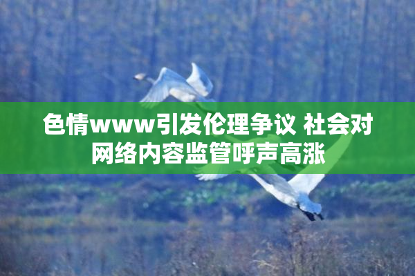 色情www引发伦理争议 社会对网络内容监管呼声高涨