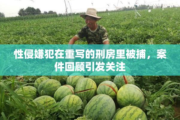 性侵嫌犯在重写的刑房里被捕，案件回顾引发关注