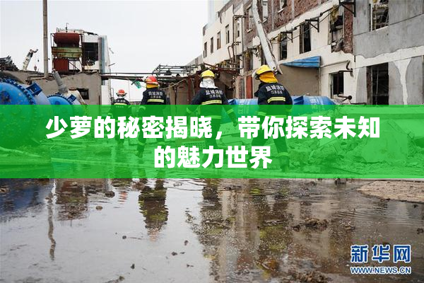 少萝的秘密揭晓，带你探索未知的魅力世界