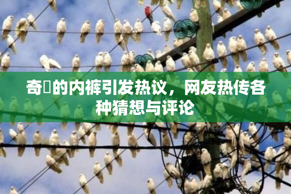 奇犽的内裤引发热议，网友热传各种猜想与评论
