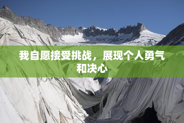 我自愿接受挑战，展现个人勇气和决心