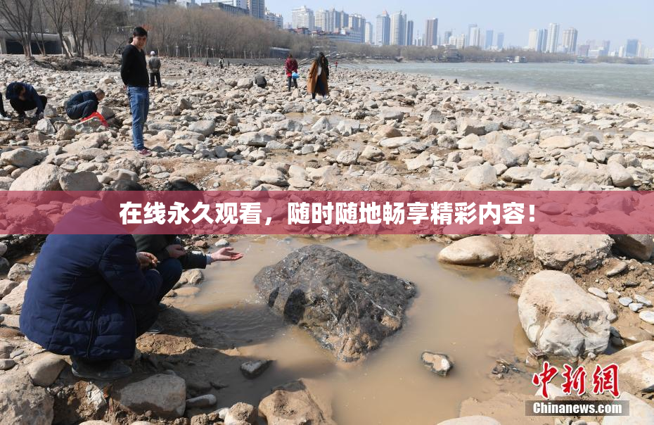 在线永久观看，随时随地畅享精彩内容！