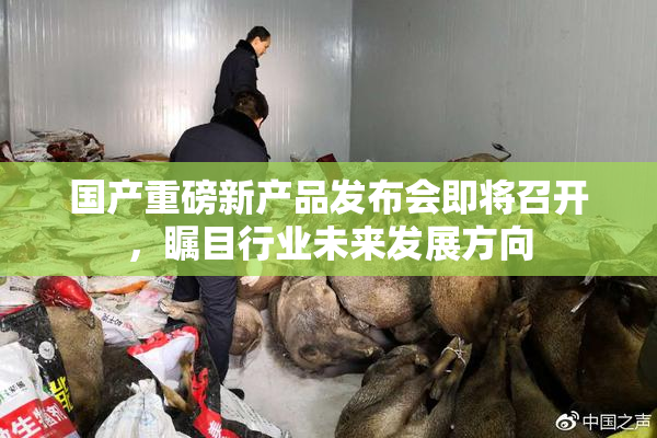 国产重磅新产品发布会即将召开，瞩目行业未来发展方向