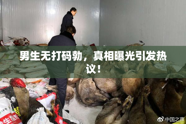 男生无打码勃，真相曝光引发热议！