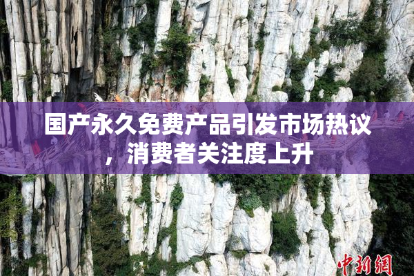 国产永久免费产品引发市场热议，消费者关注度上升