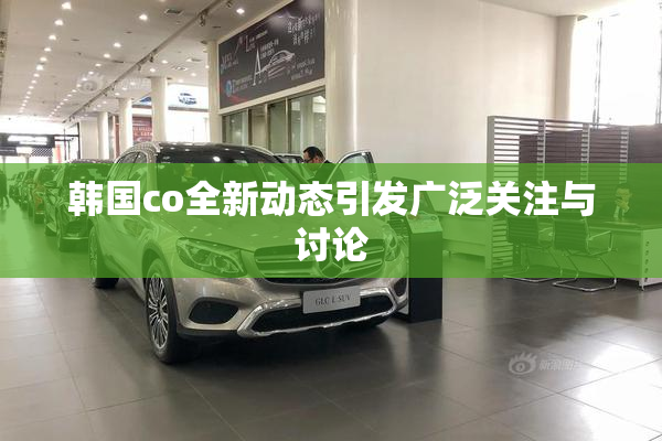 韩国co全新动态引发广泛关注与讨论