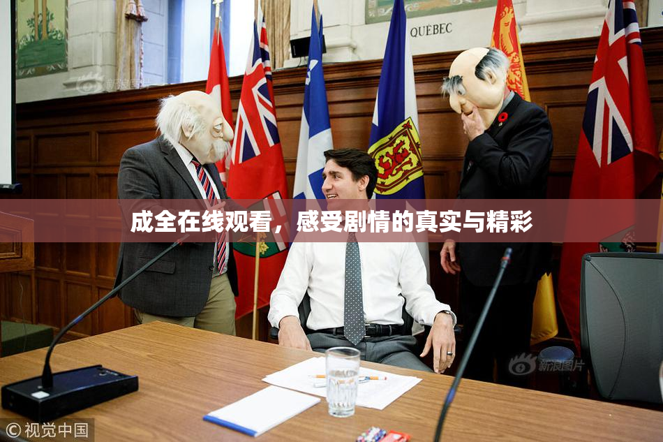 成全在线观看，感受剧情的真实与精彩