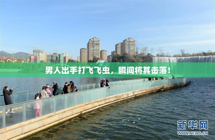 男人出手打飞飞虫，瞬间将其击落！