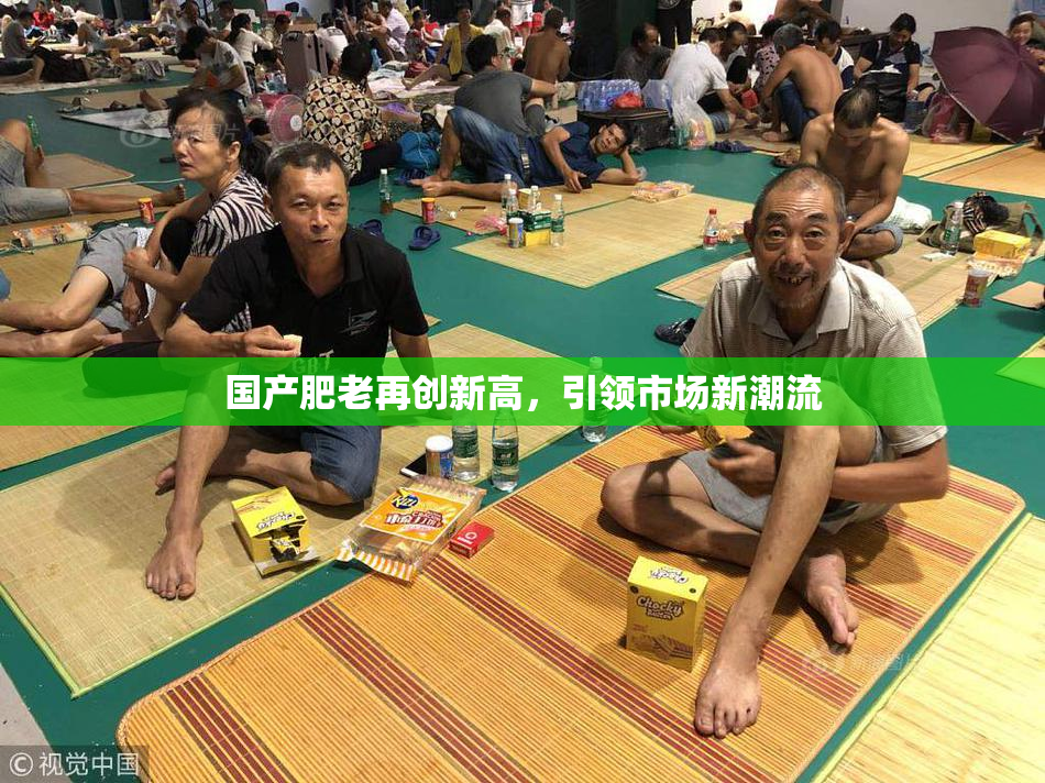 国产肥老再创新高，引领市场新潮流