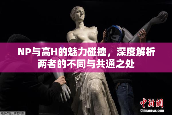 NP与高H的魅力碰撞，深度解析两者的不同与共通之处