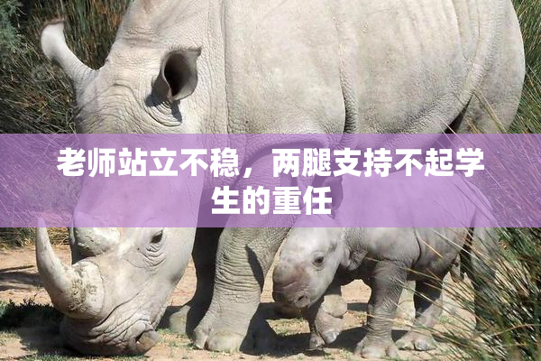 老师站立不稳，两腿支持不起学生的重任
