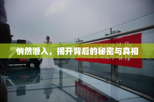 悄然潜入，揭开背后的秘密与真相