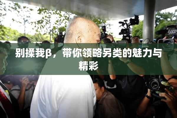 别揉我β，带你领略另类的魅力与精彩