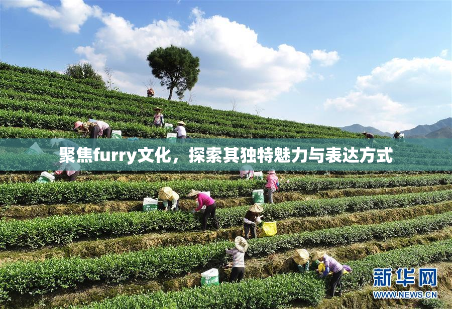 聚焦furry文化，探索其独特魅力与表达方式