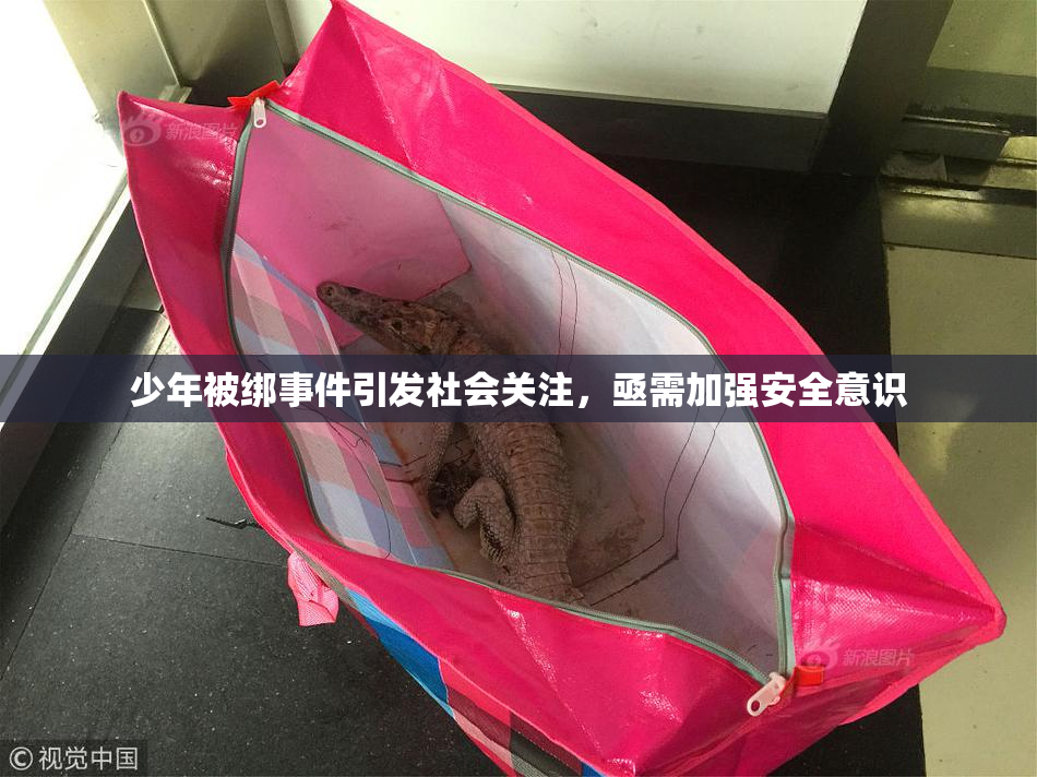 少年被绑事件引发社会关注，亟需加强安全意识