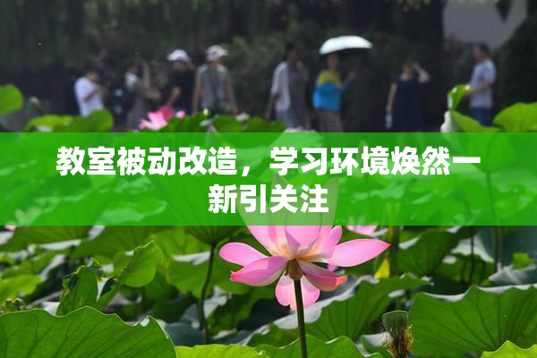 教室被动改造，学习环境焕然一新引关注
