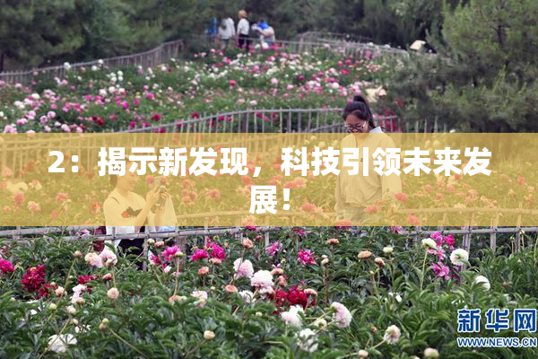 2：揭示新发现，科技引领未来发展！