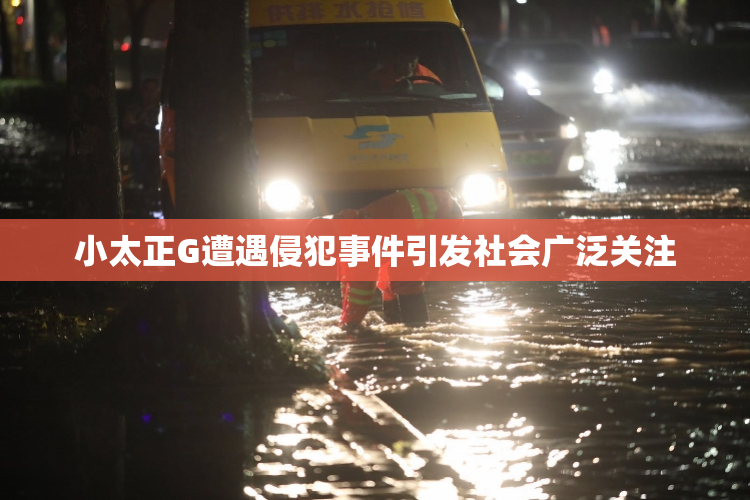 小太正G遭遇侵犯事件引发社会广泛关注