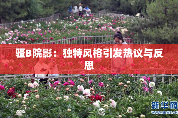 骚B院影：独特风格引发热议与反思