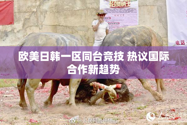 欧美日韩一区同台竞技 热议国际合作新趋势
