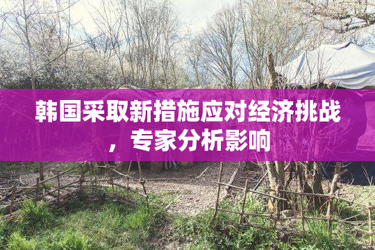 韩国采取新措施应对经济挑战，专家分析影响
