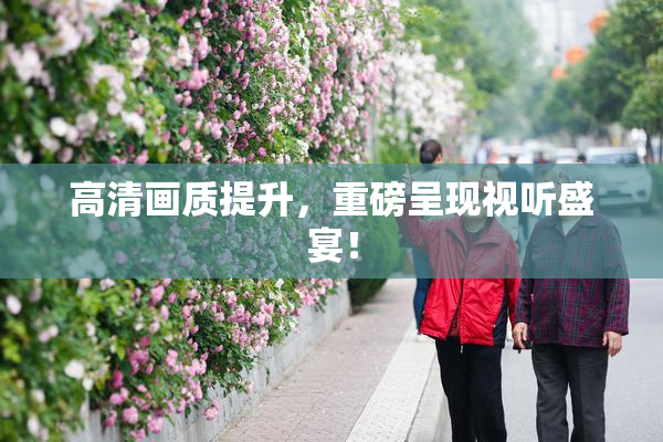 高清画质提升，重磅呈现视听盛宴！