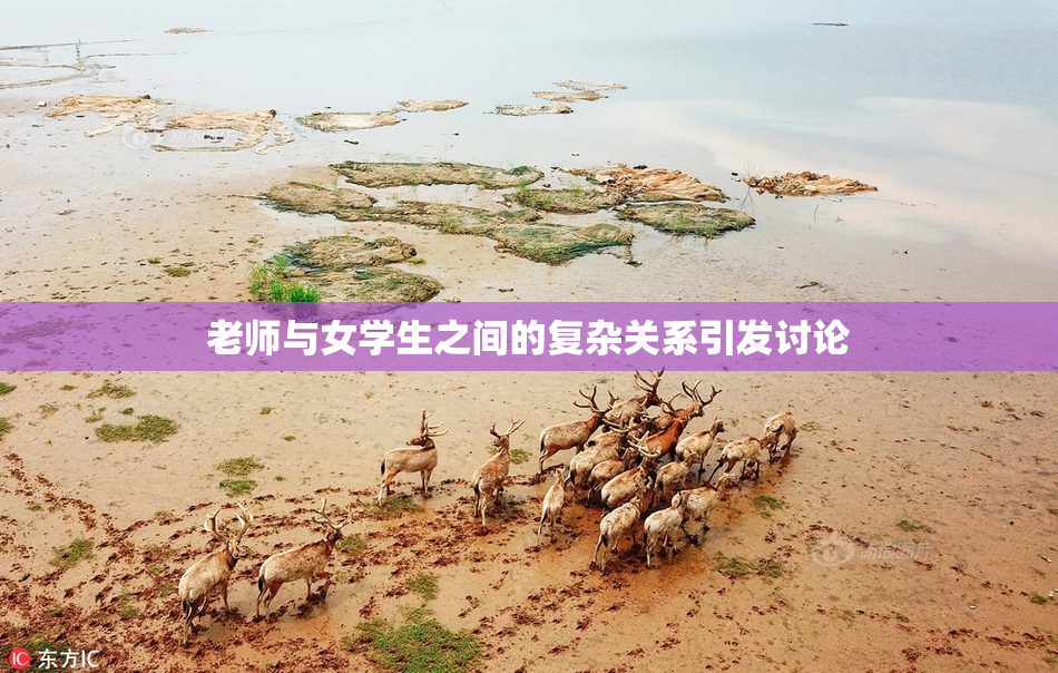 老师与女学生之间的复杂关系引发讨论